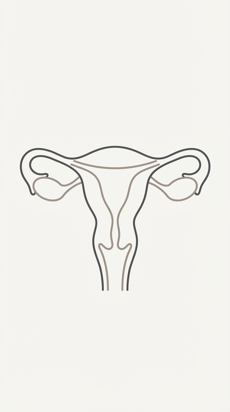 Portrait Uterus Diagram
